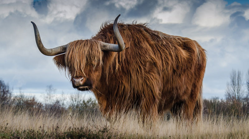 Sanctuary was supposed to be&hellip;