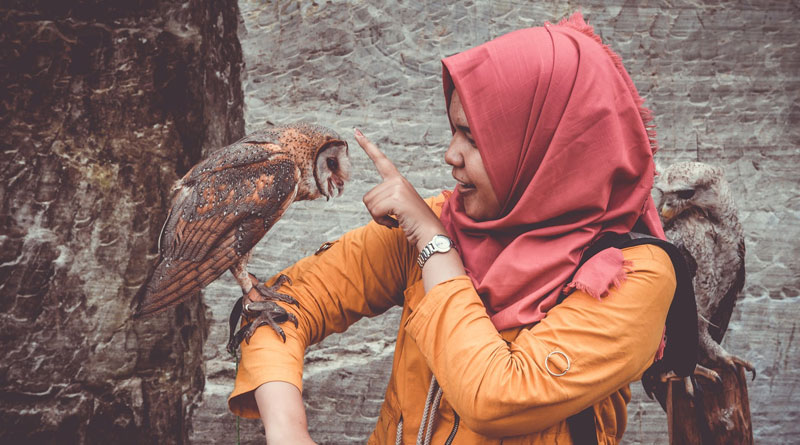 We’ve lost 3 billion birds since&hellip;